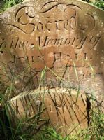 John Hall Stone ©fnrc